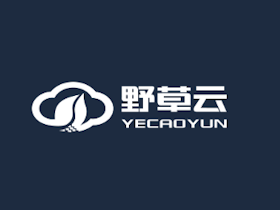 野草云新年特惠：香港云服务器仅88元/年 1核AMD/100M带宽/380G流量