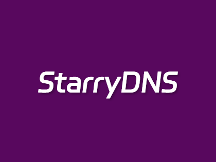 StarryDNS荷兰大宽带 VPS 限时特惠，月付低至 $4.5