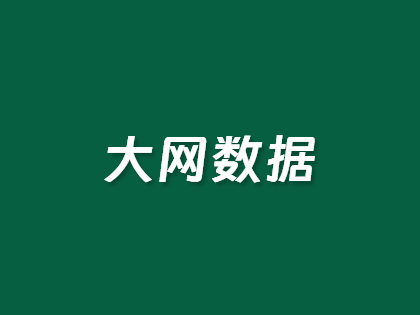 大网数据618大促：VPS低至45元/月，独服299元起，1Gbps带宽+高防无视CC，多国内机房可选