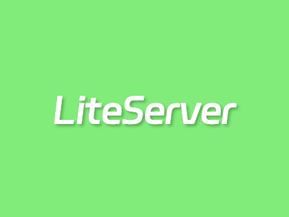 LiteServer荷兰存储VPS：AMD EPYC平台，大带宽+大硬盘，年付€30起